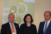 CURSOS DE VERANO DE EL ESCORIAL`2013 (Universidad Complutense de Madrid)