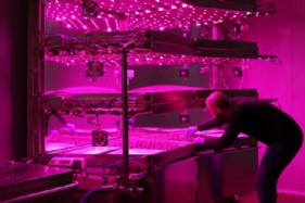 El Grupo Alimentario Citrus inaugura su Centro de Innovacin Agronmica de Valencia
