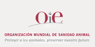 OIE