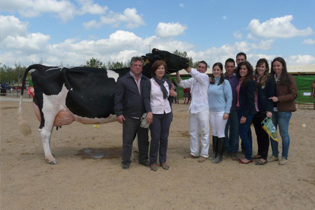 Ganaderas de COVAP premiadas por sus producciones